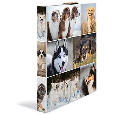 HERMA Ringbuch A4 Hunde, schmal, 4 Ringe, 35 mm breit, Kinder Ringordner mit Tier Motiv, bunter Ordner mit Innendruck für Jungen und Mädchen HERMA Ringbuch A4 Hunde, schmal, 4 Ringe, 35 mm breit, Kinder Ringordner mit Tier Motiv, bunter Ordner mit Innendruck für Jungen und Mädchen