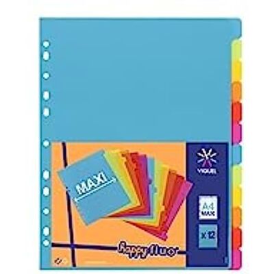 Viquel Lot de 12 intercalaires en plastique Maxi format (24,5x30,5cm) Pour classeur A4 Maxi format ou classeur à levier Coloris fluo Viquel Lot de 12 intercalaires en plastique Maxi format (24,5x30,5cm) Pour classeur A4 Maxi format ou classeur à levier Coloris fluo
