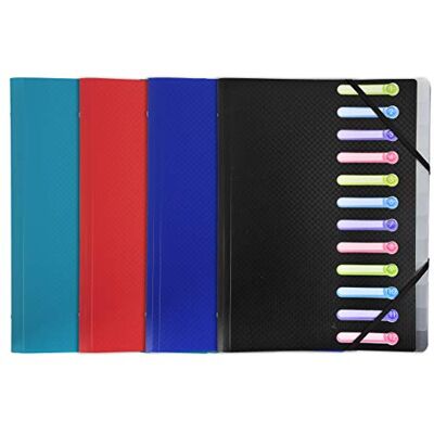 Exacompta 55180E Premium Ordnungsmappe Opak. Aus stabilem Kunststoff DIN A4 12 Fächer 3 Klappen dehnbarer Rücken und 2 Gummizüge Register-Mappe Eckanner-Mappe 1 Stück Zufallsfarbe Exacompta 55180E Premium Ordnungsmappe Opak. Aus stabilem Kunststoff DIN A4 12 Fächer 3 Klappen dehnbarer Rücken und 2 Gummizüge Register-Mappe Eckanner-Mappe 1 Stück Zufallsfarbe