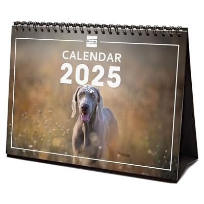 Finocam Bebilderter Tischkalender International 2025 Monatsansicht Januar 2025 bis Dezember 2025 (12 Monate) Dogs International Finocam Bebilderter Tischkalender International 2025 Monatsansicht Januar 2025 bis Dezember 2025 (12 Monate) Dogs International