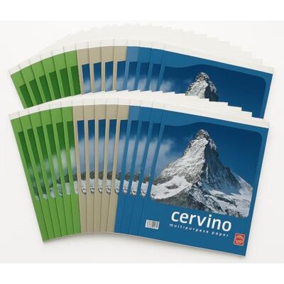 Pigna , Block CERVINO, Metallic Stitch, A6 Format 10.5x14.8 cm, 50 Blatt, Recyclingpapier 55 gsm, 3 Fächer, innen 5M, Quadrate 5 mm, 20 Stück Pigna , Block CERVINO, Metallic Stitch, A6 Format 10.5x14.8 cm, 50 Blatt, Recyclingpapier 55 gsm, 3 Fächer, innen 5M, Quadrate 5 mm, 20 Stück