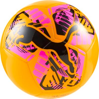 PUMA Großer Katzenball PUMA Großer Katzenball