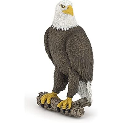 Papo -Handbemalt Figuren -Wildtiere Der Welt-Seeadler-50181-Sammelbar-Für Kinder Geeignet für Jungen und Mädchen Ab 3 Jahren Papo -Handbemalt Figuren -Wildtiere Der Welt-Seeadler-50181-Sammelbar-Für Kinder Geeignet für Jungen und Mädchen Ab 3 Jahren