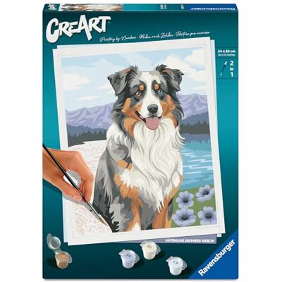 Ravensburger CreArt 12023114 Australian Sheperd Merlin Malen nach Zahlen ab 12 Jahren Ravensburger CreArt 12023114 Australian Sheperd Merlin Malen nach Zahlen ab 12 Jahren