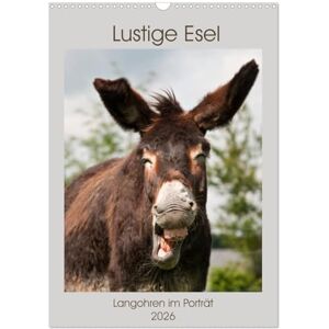 CALVENDO Lustige Esel Langohren im Porträt (Wandkalender 2026 DIN A3 hoch), Monatskalender: Eselfotos die Freude bereiten ( Tiere) CALVENDO Lustige Esel Langohren im Porträt (Wandkalender 2026 DIN A3 hoch), Monatskalender: Eselfotos die Freude bereiten ( Tiere)