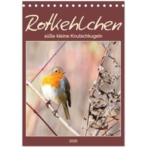 CALVENDO Rotkehlchen, süße kleine Knutschkugeln (Tischkalender 2026 DIN A5 hoch), Monatskalender: Gern gesehene Gäste in unseren Gärten ( Tiere) CALVENDO Rotkehlchen, süße kleine Knutschkugeln (Tischkalender 2026 DIN A5 hoch), Monatskalender: Gern gesehene Gäste in unseren Gärten ( Tiere)