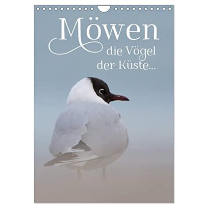 CALVENDO Möwen die Vögel der Küste (Wandkalender 2026 DIN A4 hoch), Monatskalender: 13 wundervolle Möwenbilder ( Tiere) CALVENDO Möwen die Vögel der Küste (Wandkalender 2026 DIN A4 hoch), Monatskalender: 13 wundervolle Möwenbilder ( Tiere)
