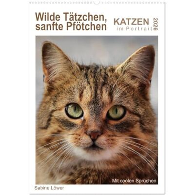 CALVENDO Wilde Tätzchen, sanfte Pfötchen (Wandkalender 2026 DIN A2 hoch), Monatskalender: Katzen im Portrait mit coolen Sprüchen ( Tiere) CALVENDO Wilde Tätzchen, sanfte Pfötchen (Wandkalender 2026 DIN A2 hoch), Monatskalender: Katzen im Portrait mit coolen Sprüchen ( Tiere)