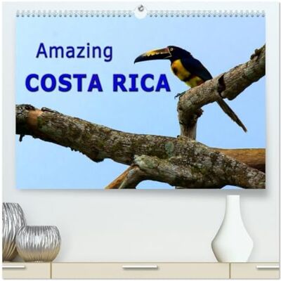 CALVENDO Amazing Costa Rica (High Quality Wall Calendar 2027 DIN A2 landscape), 12 Month Wall Calendar: Amazing wildlife in Costa Rica, the destination for nature lovers ( Nature) CALVENDO Amazing Costa Rica (High Quality Wall Calendar 2027 DIN A2 landscape), 12 Month Wall Calendar: Amazing wildlife in Costa Rica, the destination for nature lovers ( Nature)