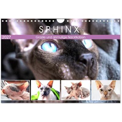CALVENDO Kalender 2027 · Sphinx. Grazile und anmutige Nacktkatzen Die zierliche Sphynx Katze gehört zu den liebevollsten Katzenrassen der Welt · DIN A4 quer · Wandkalender CALVENDO Kalender 2027 · Sphinx. Grazile und anmutige Nacktkatzen Die zierliche Sphynx Katze gehört zu den liebevollsten Katzenrassen der Welt · DIN A4 quer · Wandkalender