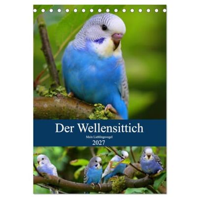 CALVENDO Kalender 2027 · Der Wellensittich Mein Lieblingsvogel Der neue Wellensittichkalender · vom kleinen Tischkalender bis zur beeindruckenden… · DIN A5 hoch · Tischkalender CALVENDO Kalender 2027 · Der Wellensittich Mein Lieblingsvogel Der neue Wellensittichkalender · vom kleinen Tischkalender bis zur beeindruckenden… · DIN A5 hoch · Tischkalender