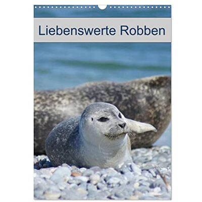 CALVENDO Liebenswerte Robben (Wandkalender 2026 DIN A3 hoch), Monatskalender: Kegelrobben und Seehunde auf der Hochseeinsel Helgoland ( Tiere) CALVENDO Liebenswerte Robben (Wandkalender 2026 DIN A3 hoch), Monatskalender: Kegelrobben und Seehunde auf der Hochseeinsel Helgoland ( Tiere)