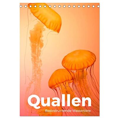 CALVENDO Quallen Beeindruckende Wassertiere (Tischkalender 2026 DIN A5 hoch), Monatskalender: Entdecken Sie die wunderschöne Welt der Quallen. ( Tiere) CALVENDO Quallen Beeindruckende Wassertiere (Tischkalender 2026 DIN A5 hoch), Monatskalender: Entdecken Sie die wunderschöne Welt der Quallen. ( Tiere)