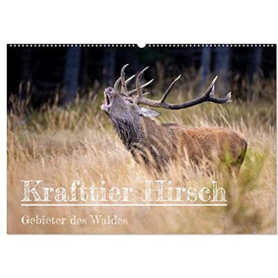 CALVENDO Krafttier Hirsch (Wandkalender 2026 DIN A2 quer), Monatskalender: Die besondere Magie von Krafttier Hirsch ( Tiere) CALVENDO Krafttier Hirsch (Wandkalender 2026 DIN A2 quer), Monatskalender: Die besondere Magie von Krafttier Hirsch ( Tiere)