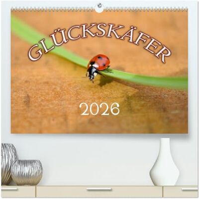 CALVENDO Marienkäfer 2026 (hochwertiger Premium Wandkalender 2026 DIN A2 quer), Kunstdruck in Hochglanz: 13 Motive mit Marienkäfern ( Tiere) CALVENDO Marienkäfer 2026 (hochwertiger Premium Wandkalender 2026 DIN A2 quer), Kunstdruck in Hochglanz: 13 Motive mit Marienkäfern ( Tiere)