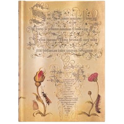 Paperblanks Flemish Rose MIDI Lined: Hardcover, 120 gsm, ribbon marker, memento pouch, clasp closure, book edge printing (Mira Botanica) Paperblanks Flemish Rose MIDI Lined: Hardcover, 120 gsm, ribbon marker, memento pouch, clasp closure, book edge printing (Mira Botanica)