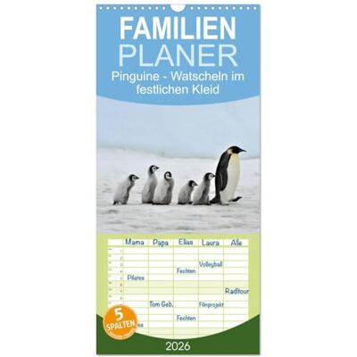 CALVENDO Familienplaner 2026 Pinguine Watscheln im festlichen Kleid mit 5 Spalten (Wandkalender, 21 cm x 45 cm), : Königspinguine in ihrem natürlichen Lebensraum ( Tiere) CALVENDO Familienplaner 2026 Pinguine Watscheln im festlichen Kleid mit 5 Spalten (Wandkalender, 21 cm x 45 cm), : Königspinguine in ihrem natürlichen Lebensraum ( Tiere)