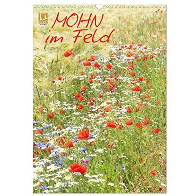 CALVENDO Mohn im Feld (Wandkalender 2026 DIN A3 hoch), Monatskalender: Pure Sommerfreude mit strahlenden, roten Mohnblumen ( Natur) CALVENDO Mohn im Feld (Wandkalender 2026 DIN A3 hoch), Monatskalender: Pure Sommerfreude mit strahlenden, roten Mohnblumen ( Natur)