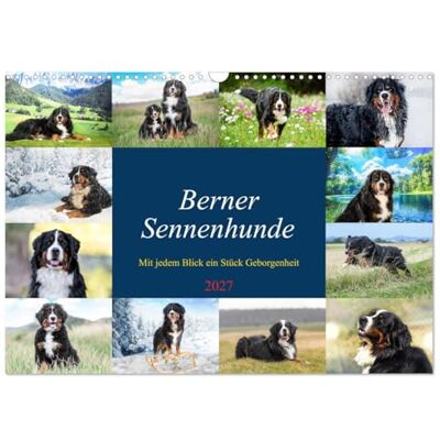 CALVENDO Kalender 2027 · Berner Sennenhunde Mit jedem Blick ein Stück Geborgenheit Bilder die Herz und Seele berühren · DIN A3 quer · Wandkalender CALVENDO Kalender 2027 · Berner Sennenhunde Mit jedem Blick ein Stück Geborgenheit Bilder die Herz und Seele berühren · DIN A3 quer · Wandkalender
