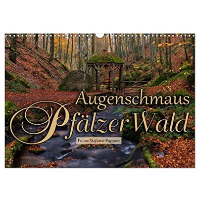 CALVENDO Kalender 2027 · Augenschmaus Pfälzer Wald Eine Bildreise durch die Jahreszeiten des Pfälzer Walds · DIN A3 quer · Wandkalender CALVENDO Kalender 2027 · Augenschmaus Pfälzer Wald Eine Bildreise durch die Jahreszeiten des Pfälzer Walds · DIN A3 quer · Wandkalender