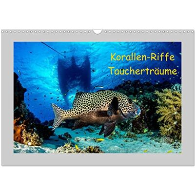 CALVENDO Kalender 2027 · Korallen-Riffe Taucherträume Unterwasseraufnahmen von den Korallenriffen der Philippinen · DIN A3 quer · Wandkalender CALVENDO Kalender 2027 · Korallen-Riffe Taucherträume Unterwasseraufnahmen von den Korallenriffen der Philippinen · DIN A3 quer · Wandkalender