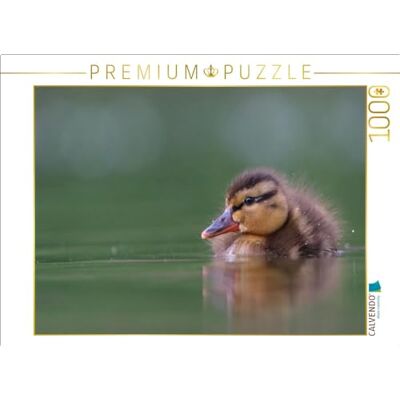 CALVENDO Puzzle Stockente (Mallard) 1000 Teile Lege-Größe 64 x 48 cm Foto-Puzzle für glückliche Stunden CALVENDO Puzzle Stockente (Mallard) 1000 Teile Lege-Größe 64 x 48 cm Foto-Puzzle für glückliche Stunden