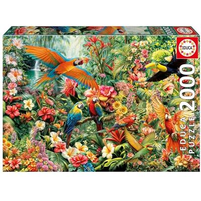 Educa 2000-Teile-Puzzle für Erwachsene Vögel des Amazonas Maße: 96 x 68 cm Ab 14 Jahren (20574) Educa 2000-Teile-Puzzle für Erwachsene Vögel des Amazonas Maße: 96 x 68 cm Ab 14 Jahren (20574)