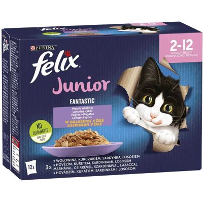 Felix Fantastic Vegyes Válogatás Junior Nedves Macskaeledel Aszpikban (Marha, Csirke, Szardínia, Lazac) - 12x85 g Felix Fantastic Vegyes Válogatás Junior Nedves Macskaeledel Aszpikban (Marha, Csirke, Szardínia, Lazac) - 12x85 g
