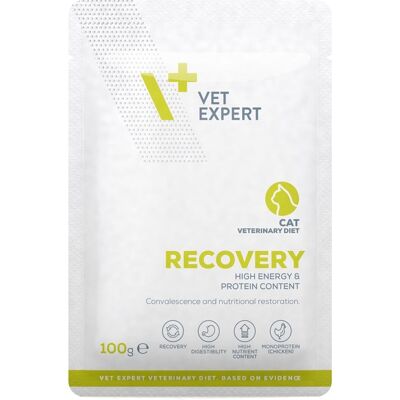 VETEXPERT VET EXPERT Veterinary Diet Cat Recovery pouch 100 g VETEXPERT VET EXPERT Veterinary Diet Cat Recovery pouch 100 g