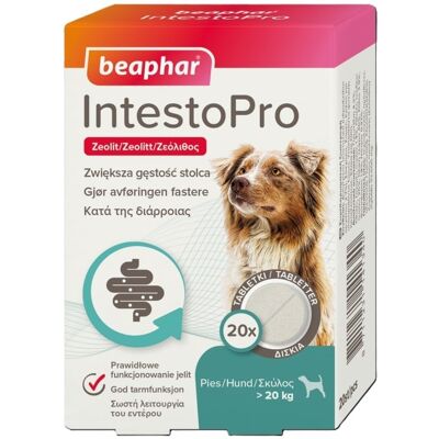 BEAPHAR IntestoPro tabletták a széklet normális állagának támogatására 20 db kutyáknak (20 kg felett) BEAPHAR IntestoPro tabletták a széklet normális állagának támogatására 20 db kutyáknak (20 kg felett)
