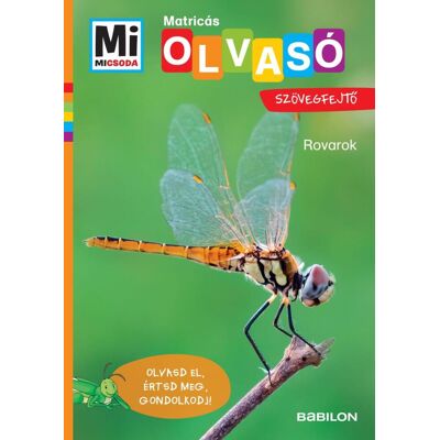 Christina Braun - Rovarok - Mi Micsoda Olvasó - Matricás szövegfejtő Christina Braun - Rovarok - Mi Micsoda Olvasó - Matricás szövegfejtő