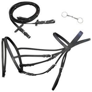 vidaXL Leather Flash Bridle with Reins and Bit Black Pony