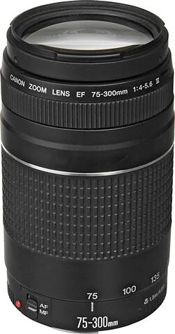 Refurbished: Canon EF 75-300mm 1:4-5.6 III