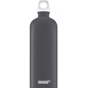 SIGG Aluminium Water Bottle, Lucid Shade Touch / 1l