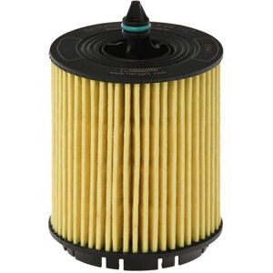 Hengst Filter Oil filter E630H02 D103 Hengst Filter Oil filter E630H02 D103