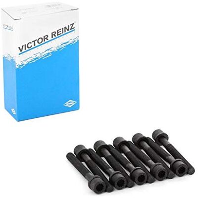 Viktor Reinz Bolt Kit, cylinder head 143204601 Viktor Reinz Bolt Kit, cylinder head 143204601