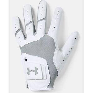Under Armour UA Iso-Chill Golf Glove Gray Size: (RSM)