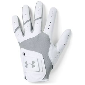 Under Armour UA Iso-Chill Golf Glove Gray Size: (RSM)