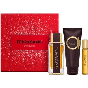 Ferragamo Spicy Leather Gift Set for men Ferragamo Spicy Leather Gift Set for men