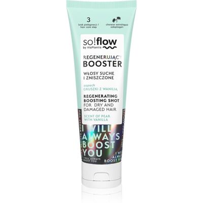 so!flow Dry and Damaged Hair Regenerating Boosting Shot Regenerative Serum for dry and damaged hair 75 ml so!flow Dry and Damaged Hair Regenerating Boosting Shot Regenerative Serum for dry and damaged hair 75 ml