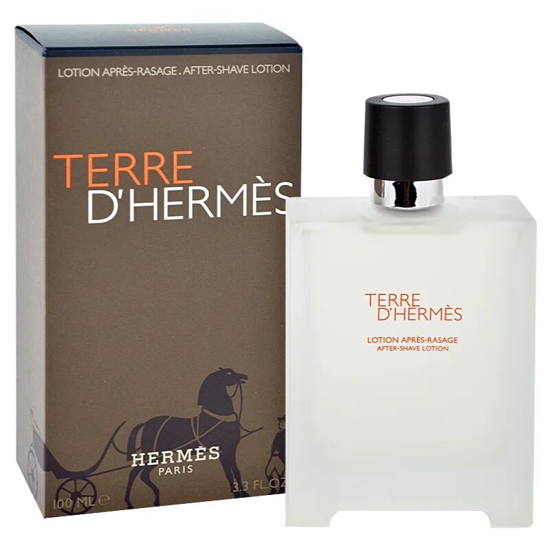 Hermès Terre d’Hermès Aftershave Water for Men 100 ml