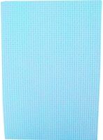 Diversen Heavyweight All-Purpose Cloth, blue, pack of 25, CNT01319