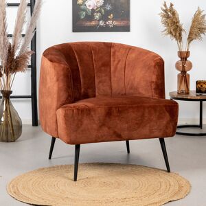 Furnwise Velvet armchair Billy Copper