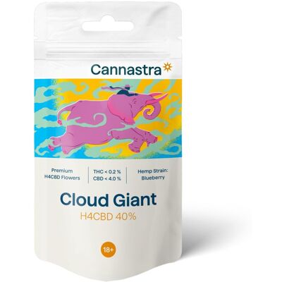Cannastra H4 Flower Cloud Giant (Blueberry) 40%, 1 G - 100 G 1 Gram Cannastra H4 Flower Cloud Giant (Blueberry) 40%, 1 G - 100 G 1 Gram