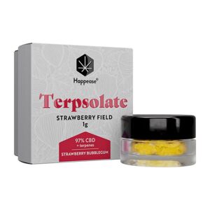 Happease - Extract Strawberry Field Terpsolate, 97% CBD, 1g