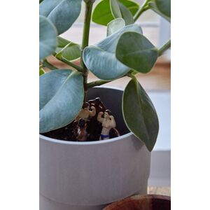 PrettyLittleThing Hunky Plant Pot Markers