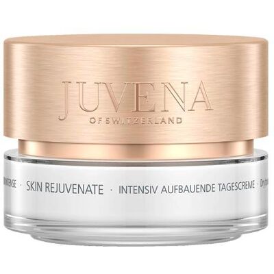 Juvena Skin Rejuvenate Skin Rejuvenate Intensive Nourishing Day Cream 50 ml Juvena Skin Rejuvenate Skin Rejuvenate Intensive Nourishing Day Cream 50 ml