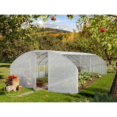 TOOLPORT 4x8m polytunnel greenhouse, PE, white - (9000) TOOLPORT 4x8m polytunnel greenhouse, PE, white - (9000)