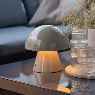 Lindby Nevijo Gray Rechargeable LED Table Lamp - Table Light Lindby Nevijo Gray Rechargeable LED Table Lamp - Table Light