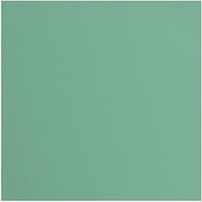 Creative Labs Florence Cardstock Textured Coloured Card Making Supplies 12 x 12 inch Green 20 Sheets Coloured Paper for Scrapbooking, Card Making, Die Cutting and Paper Crafts 216 gsm Iguana Creative Labs Florence Cardstock Textured Coloured Card Making Supplies 12 x 12 inch Green 20 Sheets Coloured Paper for Scrapbooking, Card Making, Die Cutting and Paper Crafts 216 gsm Iguana